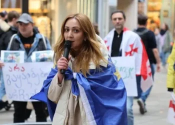 “ფიზიკური და ფსიქოლოგიური წამების მსხვერპლი ვარ”- რას ამბობს ნანა სანდერი