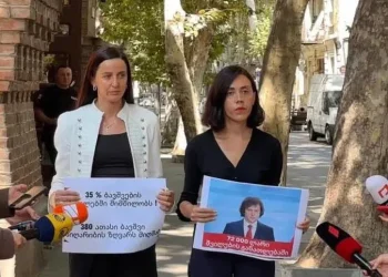 “სკოლებში, ბავშვების 35% შიმშილობს” – რას ამბობს ანა წითლიძე