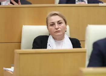 სოფიო ხორგუანმა პლენარულ სხდომაზე გაკეთებული განცხადების გამო თენგიზ შარმანაშვილი სამშობლოს ღალატში დაადანაშაულა, რის გამოც შარმანაშვილმა მას „არაკომპეტენტური მატყუარა“ უწოდა