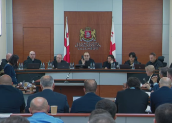 პლენუმმა სხდომების გადადებაზე გახარიას გუნდის შუამდგომლობა არ დააკმაყოფილა