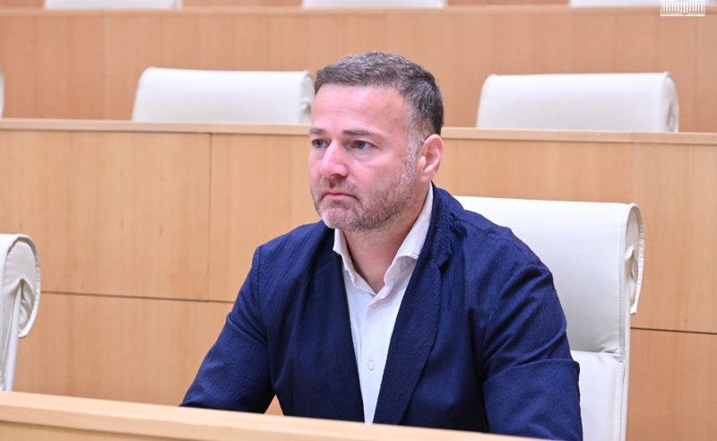 პარტიებს, რომლების აკრძალვას ითხოვენ, “ოცნებაში” “პარაზიტები” უწოდეს