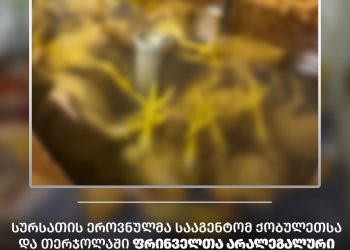 სურსათის ეროვნულმა სააგენტომ ქობულეთსა და თერჯოლაში ფრინველთა არალეგალური სასაკლაოები გამოავლინა