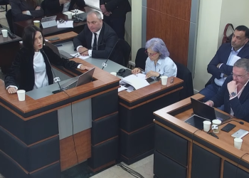 მოსარჩელეს არ შეუძლია, წარსულის ცალკეული ძალადობის გამო მოითხოვოს პარტიების გაუქმება, როდესაც თავად აწარმოებს ძალადობას, ბიბლიას მოვიშველიებ, „რომელი უცოდველია თქვენ შორის, ქვა პირველად მან ისროლოს“ – ანა წითლიძე