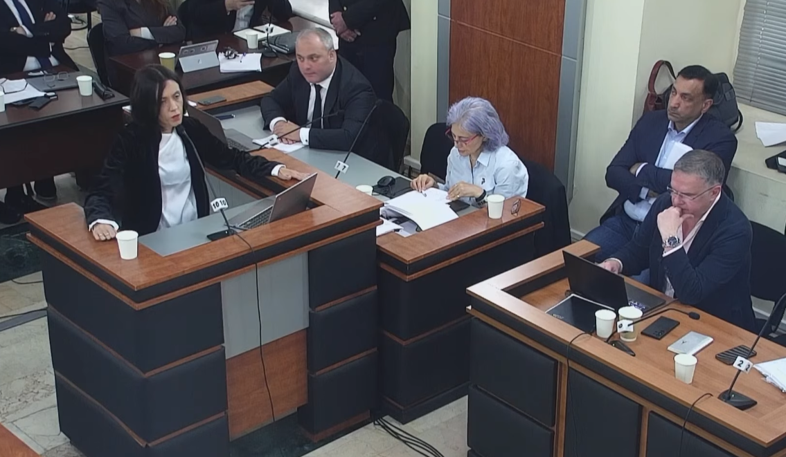 მოსარჩელეს არ შეუძლია, წარსულის ცალკეული ძალადობის გამო მოითხოვოს პარტიების გაუქმება, როდესაც თავად აწარმოებს ძალადობას, ბიბლიას მოვიშველიებ, „რომელი უცოდველია თქვენ შორის, ქვა პირველად მან ისროლოს“ – ანა წითლიძე