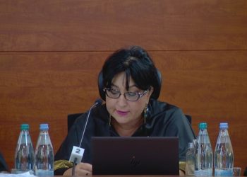 “ჩვენთვისაც გაუგებარია, რომელი ფაქტები რომელ პარტიას უნდა შეერაცხოს”- მოსამართლე „ოცნების“ წარმომადგენლებს