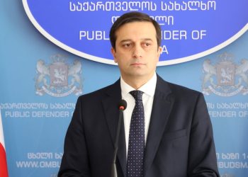 “ბევრი ფული შემოვა თუ ცოტა, არ არის არგუმენტი, იმხელაა ზიანი” – ლევან იოსელიანი სამორინეებზე