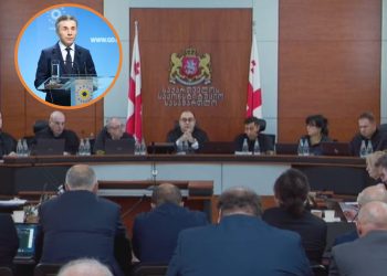 საკონსტიტუციომ ივანიშვილის მოწმის სტატუსით დაბარებაზე უარი თქვა