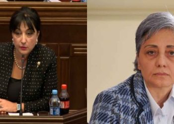 ნუ ეძებთ შავ კატას იქ, სადაც არ არის – კამათი საკონსტიტუციოში