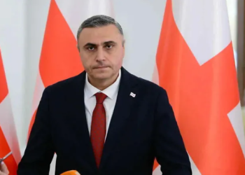 საპროცესო შეთანხმებით მათ აღიარეს რევოლუციური სცენარის ავანგარდში ყოფნა- დავით მათიკაშვილი მურთაზ ზოდელავასა და ლაშა ბერიძეზე