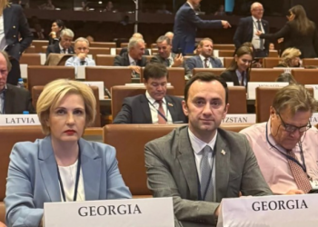 დიალოგის აუცილებლობა ქვეყნებს შორის და ორმაგი სტანდარტების თავიდან აცილება – ეს არის ის გზა, რომელიც უზრუნველყოფს სტაბილურობასა და უსაფრთხოებას!- ეკა სეფაშვილი