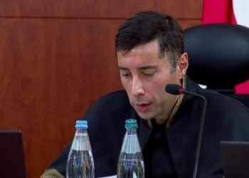რას ეფუძნება საკონსტიტუციო სარჩელი – მომხსენებელმა სასამართლო სხდომაზე მოხსენება წაიკითხა