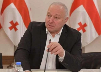“რასაც არ უნდა ითხოვდეს ოპოზიცია, რომელიც ეკონომიკურ მაჩვენებლებს დააზიანებს, პოპულისტური გადაწყვეტილებების მიღება არ შეიძლება…”- რას ამბობს პაატა კვიჟინაზე