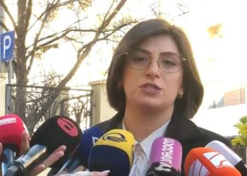 „გრანტების შესახებ“ საქართველოს კანონში ცვლილებები იყო დამანგრეველი ეფექტის- თამარ ონიანი