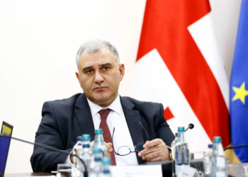 “როდესაც კლინიკა პაციენტის მიღებაზე ამბობს უარს, ჩვენ ვცდილობთ საკითხი შევისწავლოთ.”- რას ამბობს მიხეილ სარჯველაძე