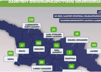 გარემოსდაცვითი ზედამხედველობის დეპარტამენტმა 9 თვეში უკანონო ტყითსარგებლობის 1203 ფაქტი გამოავლინა