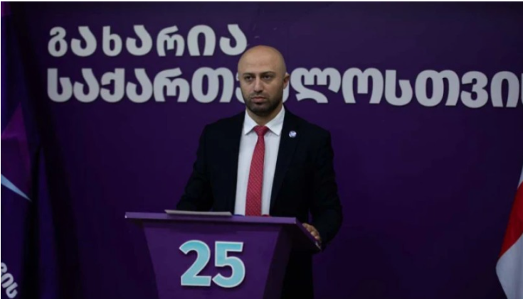 არცერთი ჩვენი დასავლელი პარტნიორი მხარს არ უჭერს საქართველოს სანქცირებას – ბერდია სიჭინავა