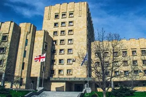 პროკურატურამ სერგეი ყანჩელზე შესაძლო ძალადობის ფაქტთან დაკავშირებით გამოძიება დაიწყო