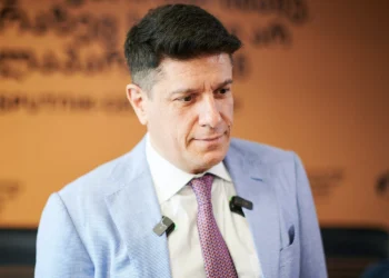 “აკრძალვა უნდა შეეხოს აბსოლუტურად ყველას — ხუთივე პარტიას” – მამუკა ფიფია