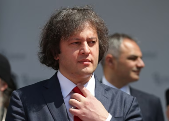 პლენუმის მიერ გადაწყვეტილების გამოცხადებამდე, კობახიძე ამბობს, რომ პარტიების არაკონსტიტუციურად გამოცხადება “აუცილებელია”