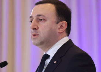 ღარიბაშვილის ადვოკატი გამორიცხავს, რომ ჩუბინიძის დაკავება მისი დაცვის ქვეშ მყოფთან კავშირშია