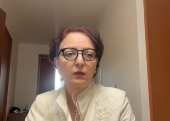 თავდაცვის ბიუჯეტისთვის ტექნიკური ხასიათის კლება არ არსებობს- თინა ხიდაშელი