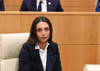 “შეწყვიტეთ ელიტის მომსახურება ბიუჯეტიდან” – ვიკა ფილფანი “ქართულ ოცნებას”