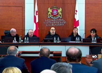 საკონსტიტუციო სასამართლოში სარჩელის განხილვა მთელი მომდევნო კვირა გაგრძელდება