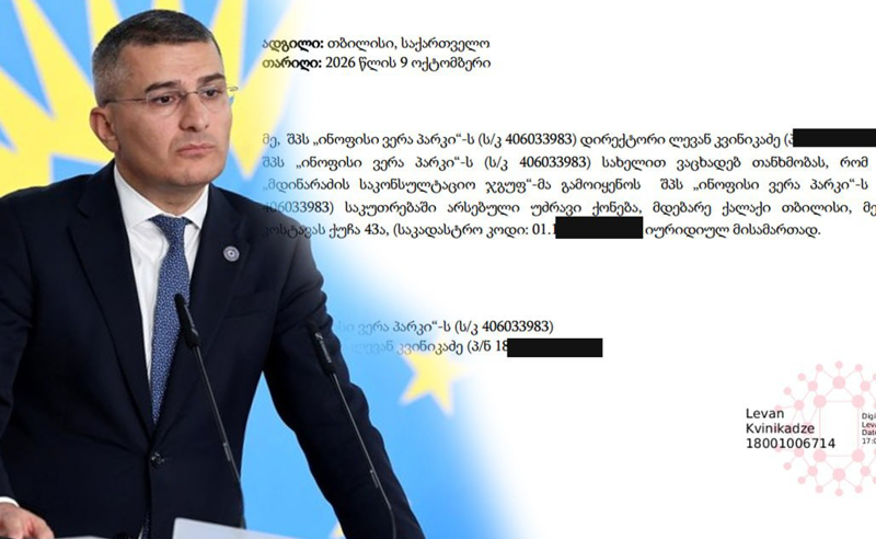 “მდინარაძის ერთადერთი ამოცანაა, ივანიშვილს ცუდად არ გაახსენდეს” – შეფასებები “ქართული ოცნების” ყოფილი ლიდერის ახალ საქმიანობაზე