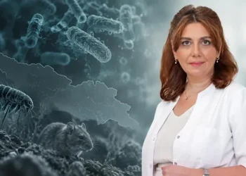 სად “ცოცხლობს“ შავი ჭირი საქართველოში და როგორ შეიძლება ადამიანი დაინფიცირდეს – ეპიდემიოლოგის განმარტება