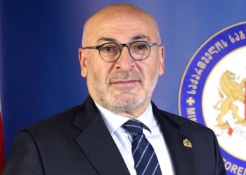 პარტიების აკრძალვა ბუმერანგი იქნება თავად დღევანდელი გამსამართლებლებისთვის – საქართველოს ყოფილი ელჩი საფრანგეთში