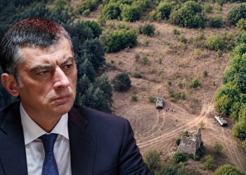 ჩორჩანას საქმე – კაკაბაძე და ნიკოლაიშვილი ამბობენ, რომ საქმეზე მხოლოდ საჯაროდ გავრცელებულ ინფორმაციას ფლობენ