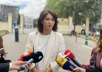 „ქართული ოცნება“ ცდილობს, არაღიარების პრობლემა დამალოს”- ეკა გიგაური