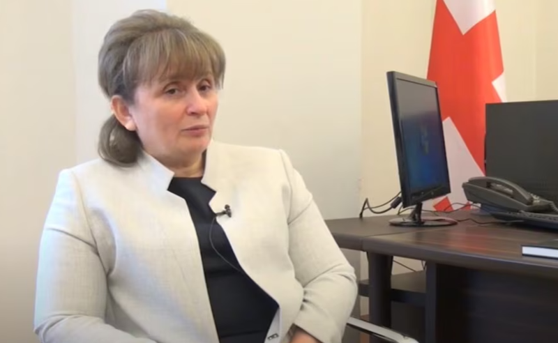 გამოძიება ნანა ყეინიშვილის წინააღმდეგ – ვის პასუხისმგებლობაზე საუბრობენ ეკონომისტები