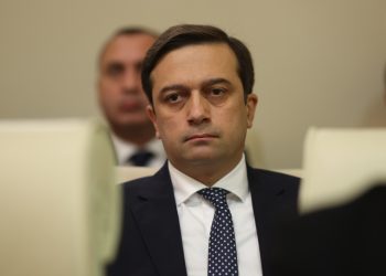 ომბუდსმენი პარტიების აკრძალვის საქმეში ჯერ არ ჩართულა