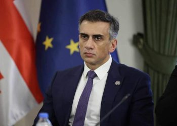 ოპოზიციური პარტიებისგან ჯერ მხოლოდ პოლიტიკური შეფასებები მოვისმინეთ, სარჩელი იმდენად ძლიერია მტკიცებულებებით, რომ რაიმე საწინააღმდეგო არგუმენტები ვერ ექნებათ – გიორგი კახიანი