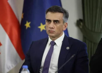 “კონსტიტუციურ პროცესზე რაიმე კრიტიკული განცხადებების გაკეთება არასწორია, საჯაროობაც არის გარანტია, რომ პროცესი იქნება მიუკერძოებელი”- გიორგი კახიანი