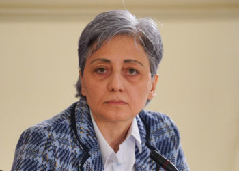 ელენესთვის საპატიმრო სასჯელი “ქართული ოცნების“ სახეა – მაია კოპალეიშვილი