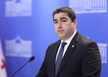“ევროკავშირის ფულით საქართველოში არა მხოლოდ რადიკალური ჯგუფები, არამედ „მოლოტოვის კოქტეილის“ კამპანია და პოლიციისთვის წინააღმდეგობის გაწევის აღჭურვილობა ფინანსდებოდა”- შალვა პაპუაშვილი