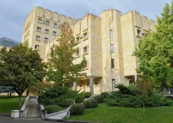 წვევამდელების მიერ სამხედრო სამსახურისთვის თავის არიდებაში, დოკუმენტების გაყალბების და გამოყენებაში დახმარების, ასევე ჯგუფის მიერ ჩადენილი თაღლითობის ფაქტებზე ბრალდებული სასამართლომ დამნაშავედ ცნო