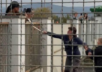 გორის მერიის მიუსაფარ ცხოველთა თავშესაფრის თანამშრომელმა ცხოველთა დამცველს ჯოხი გადაარტყა