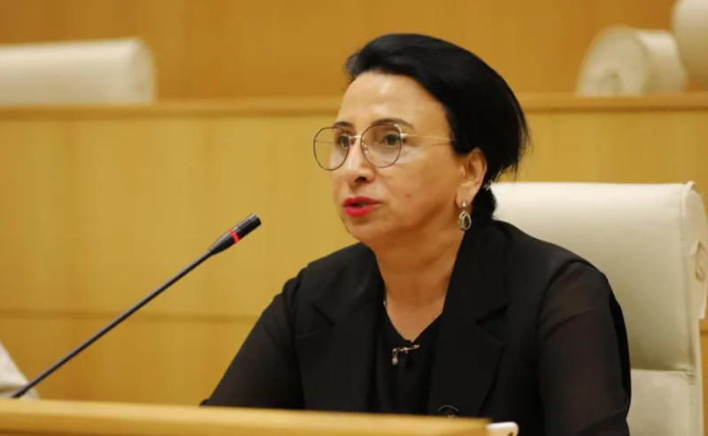 “შეხება მაქვს გარემოვაჭრეებთან?” – რიმა ბერაძე ბრალდებებს პასუხობს