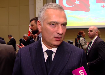 “მე რაც ვიცი, ყველაფერს ხომ არ ვიტყვი?”- რას აცხადებს იუსტიციის მინისტი დავით ფეიქრიშვილის ცემის ფაქტზე