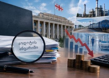 დაბალი პროდუქტიულობა და სუსტი კონტროლი – რა ხარვეზები გამოავლინა აუდიტმა სახელმწიფო საწარმოების მართვაში
