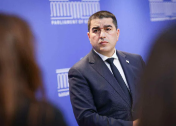 შალვა პაპუაშვილი პაატა ბურჭულაძის შვილს აკრიტიკებს