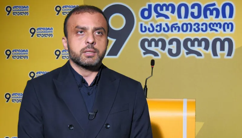 “პარტიების აკრძალვის შესახებ სარჩელის საკონსტიტუციო სასამართლოს პლენუმისთვის გადაცემა პირდაპირ არის ევროკავშირში გასამართ დებატებსა და რეზოლუციის განხილვასთან დაკავშირებული”- რას ამბობს გიორგი სიორიძე