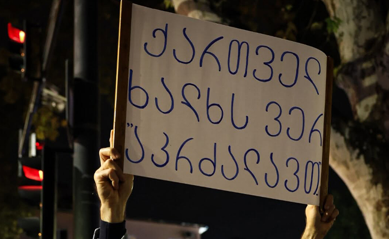 “ქართული ოცნება” სულ მცირე 800 000 მოქალაქეს პოლიტიკური არჩევანის გარეშე დატოვებს – TI