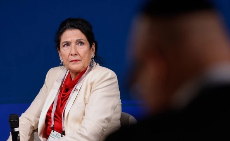 „ლიდერისა და ძლიერი პარტიების გარეშეც შეიძლება რეჟიმის დამარცხება, უიმედობა არ შეიძლება!“ – სალომე ზურაბიშვილი